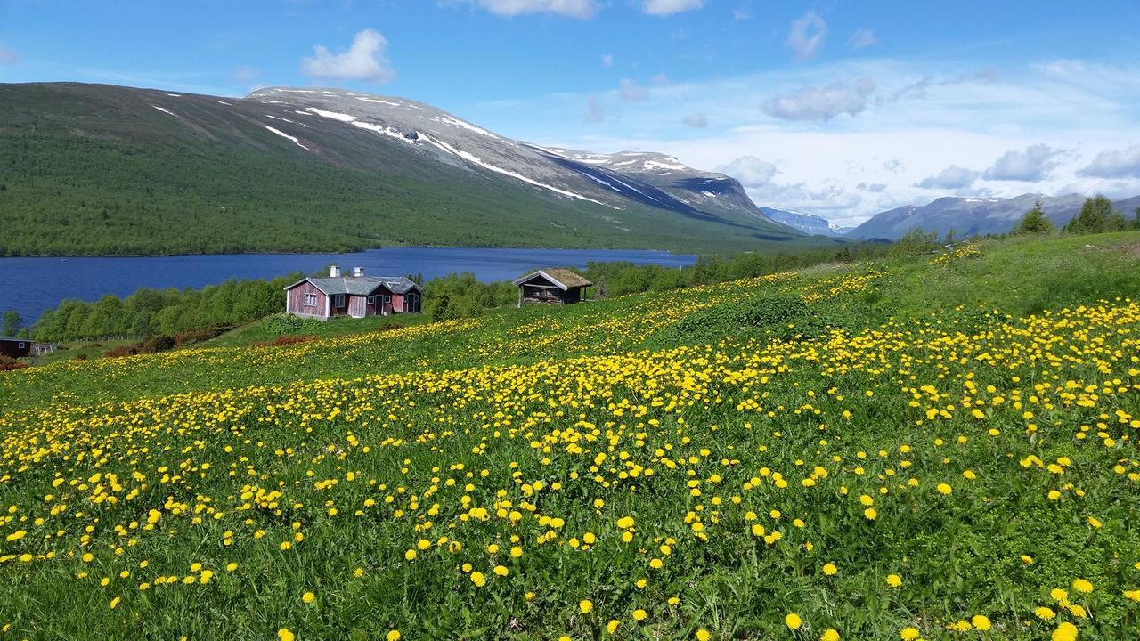 Hotel Gomobu Fjellstue Ron Exterior foto
